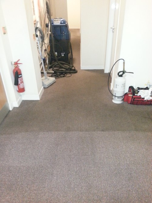 Clean carpet